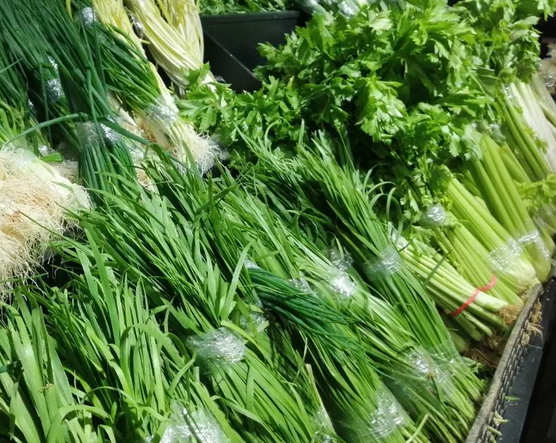 安徽省建成一作物种质资源库 收集保存蔬菜种质资源9280份