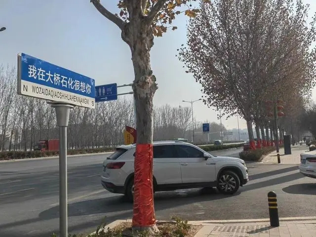 郑州大桥石化一加油站占用公共绿化带 将企业广告牌模仿成了“路名牌”？