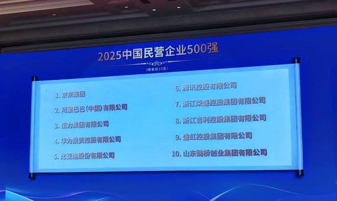 “2025民营企业500强”揭晓：腾讯、荣盛控股、比亚迪为纳税三强