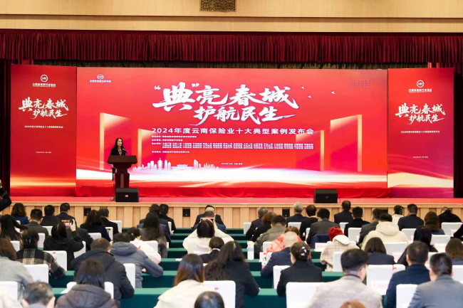 “典”亮春城 护航民生 ——2024年度云南保险业十大典型案例在昆发布